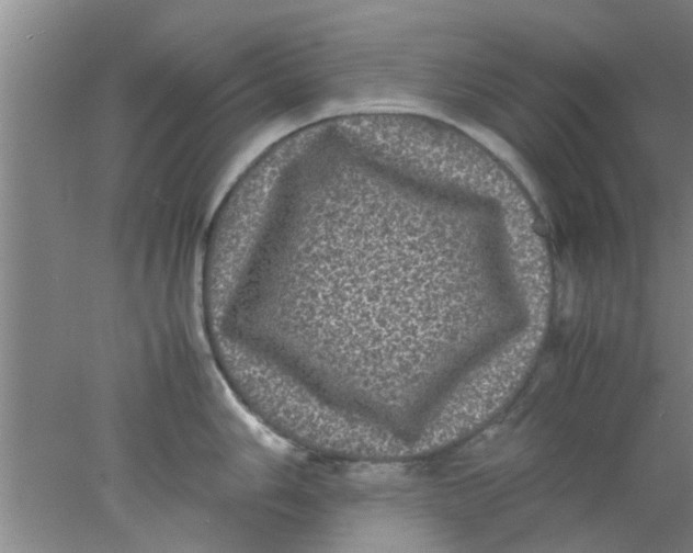 X0000078021006200611171908