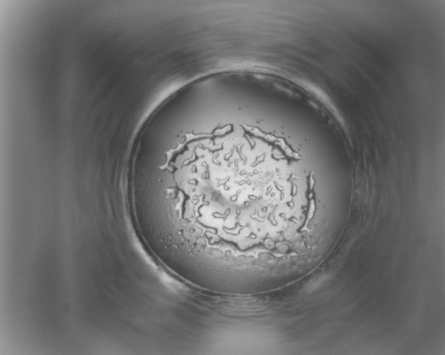 X0000078021007200611171908