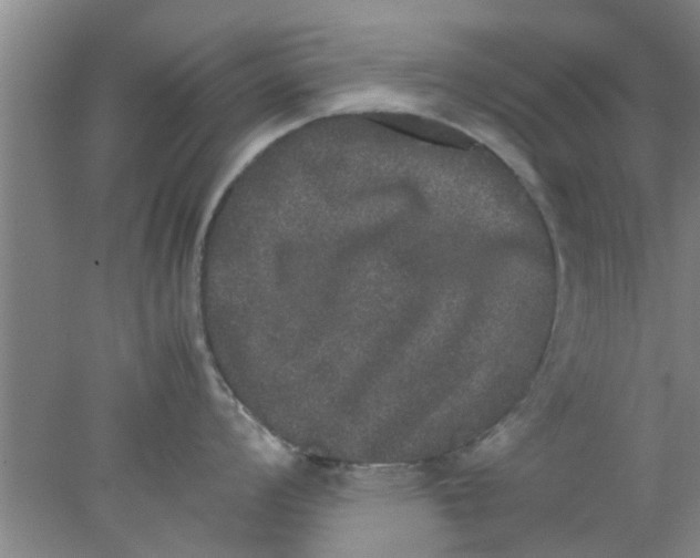 X0000078021008200611171908