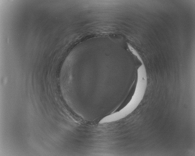 X0000078021009200611171907