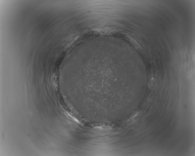 X0000078021010200611171907