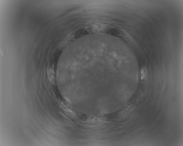 X0000078021011200611171907