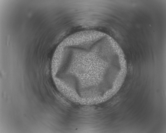 X0000078021012200611171907