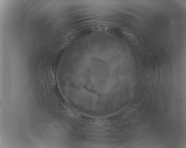 X0000078021013200611171907