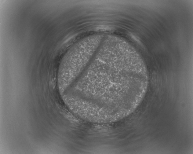 X0000078021015200611171907