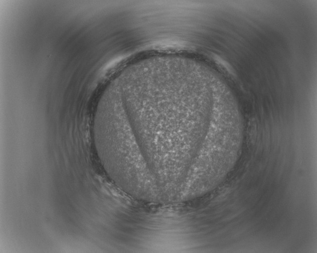 X0000078021016200611171907