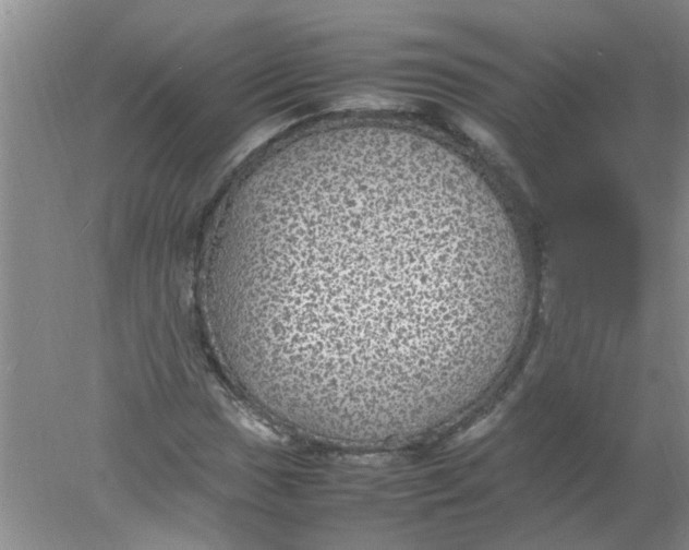 X0000078021017200611171907