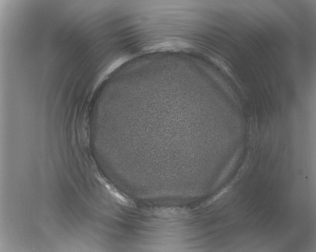 X0000078021018200611171907