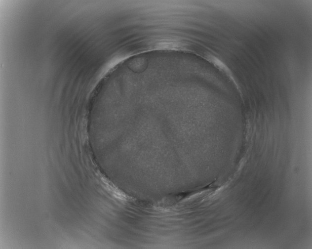 X0000078021019200611171907