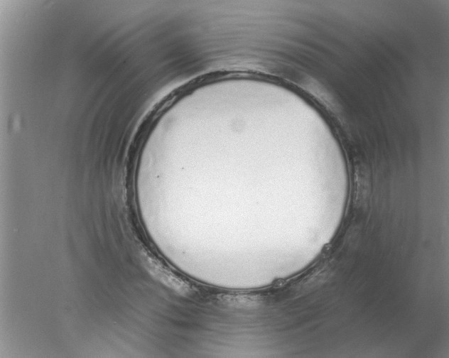 X0000078021020200611171907