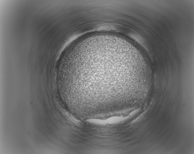 X0000078021021200611171907