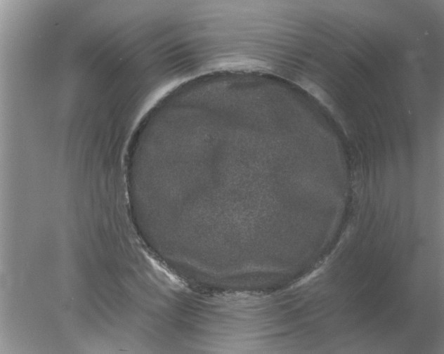 X0000078021022200611171907