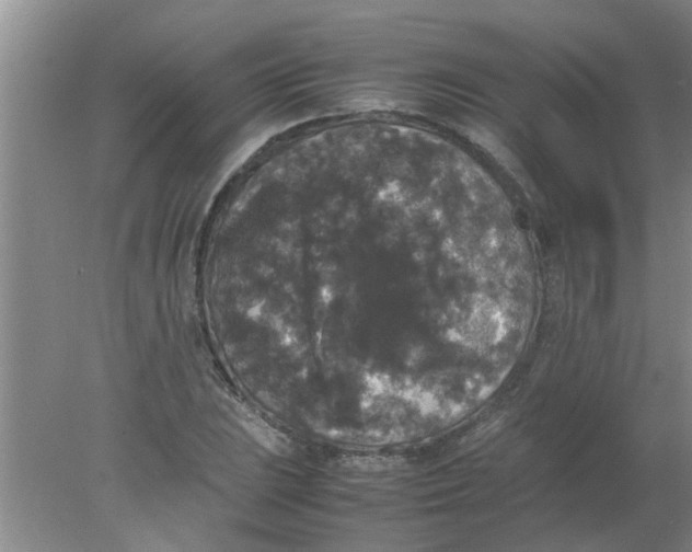 X0000078021023200611171907