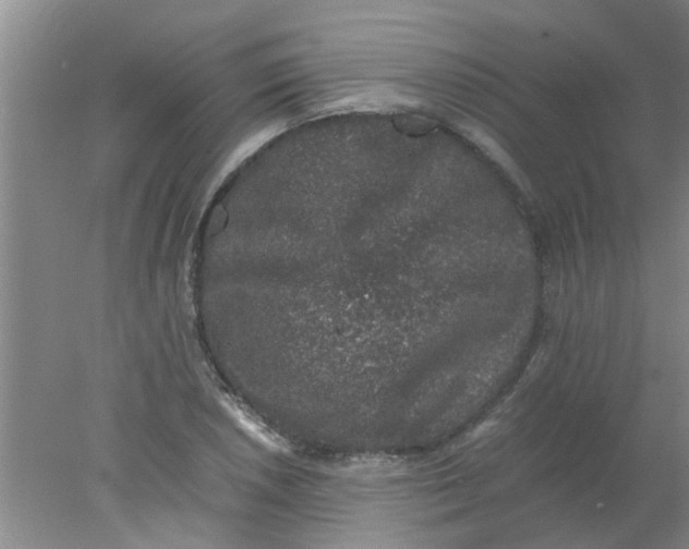 X0000078021026200611171907