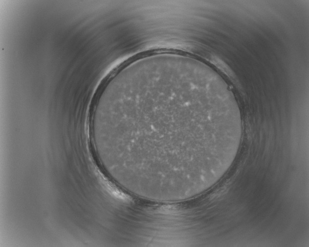 X0000078021028200611171907