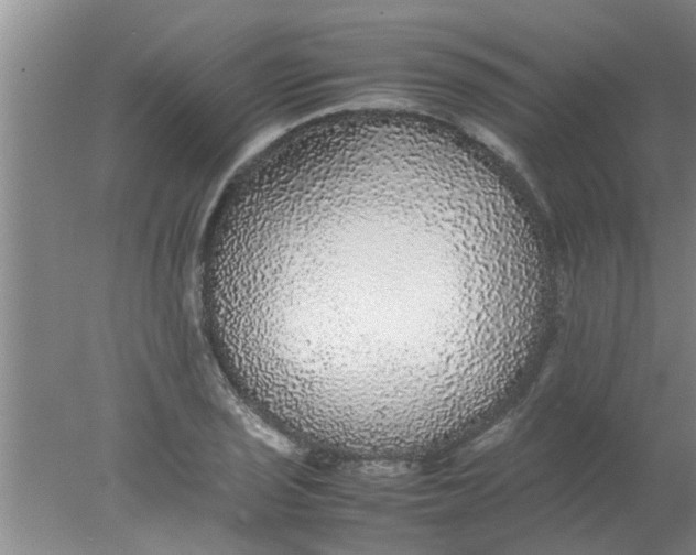 X0000078021029200611171907