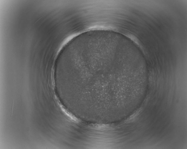 X0000078021030200611171907