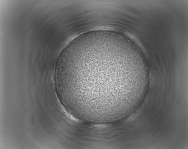 X0000078021033200611171907