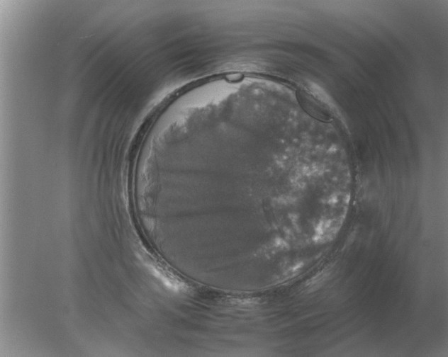 X0000078021035200611171907