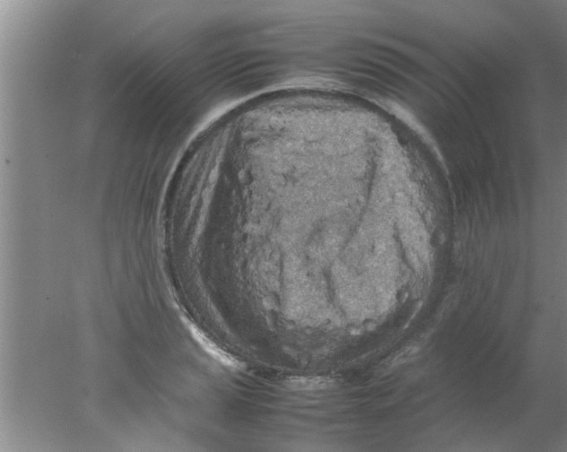 X0000078021037200611171907