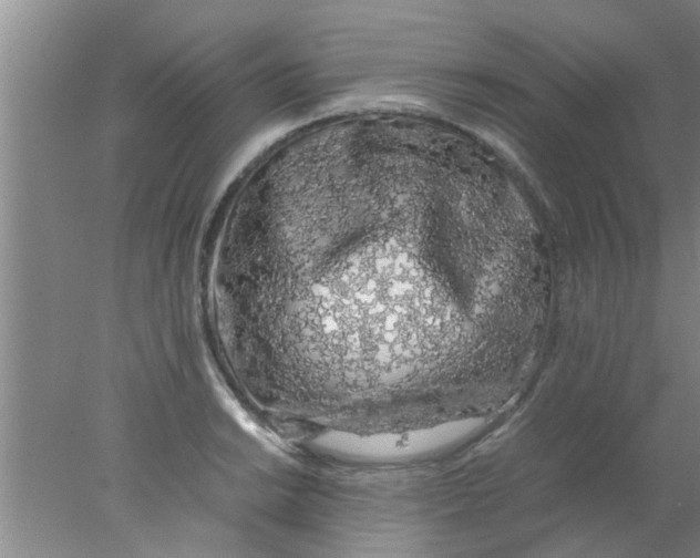 X0000078021038200611171907