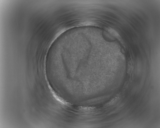 X0000078021039200611171907