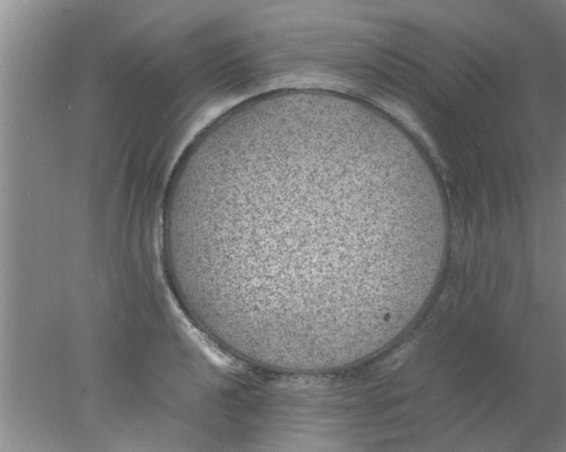 X0000078021040200611171908