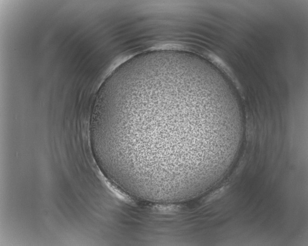 X0000078021041200611171908