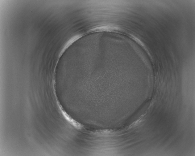 X0000078021042200611171908