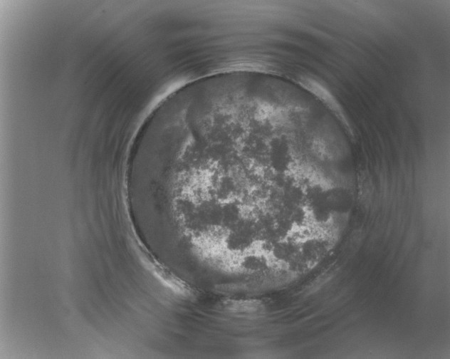 X0000078021043200611171908