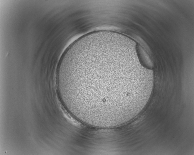 X0000078021044200611171908