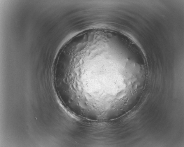 X0000078021045200611171908