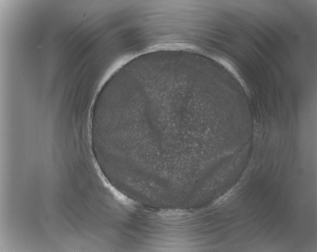 X0000078021046200611171908