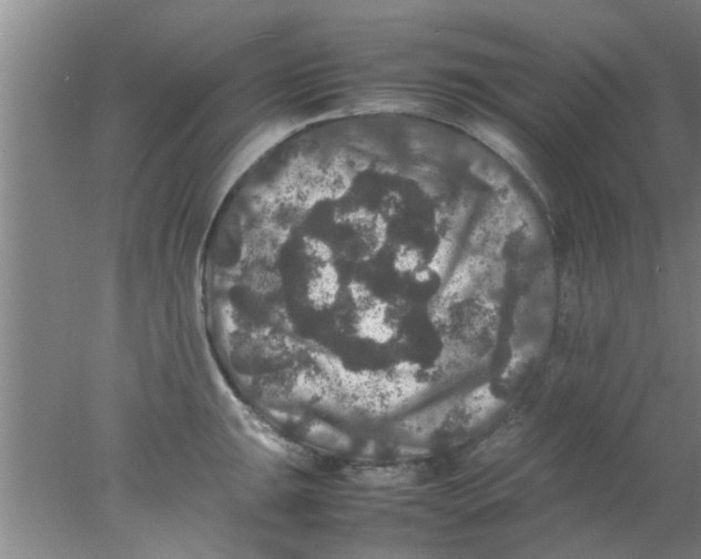 X0000078021047200611171908