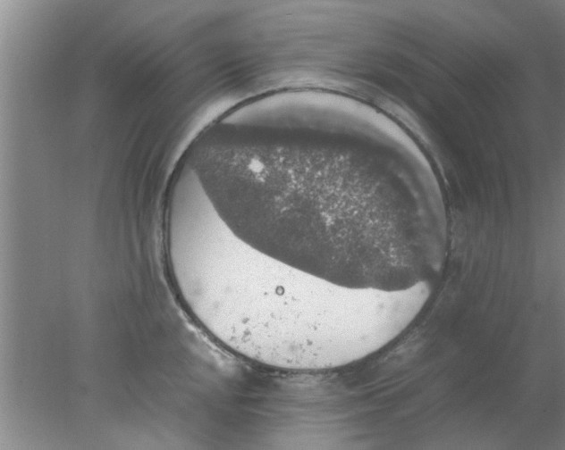 X0000078021048200611171908