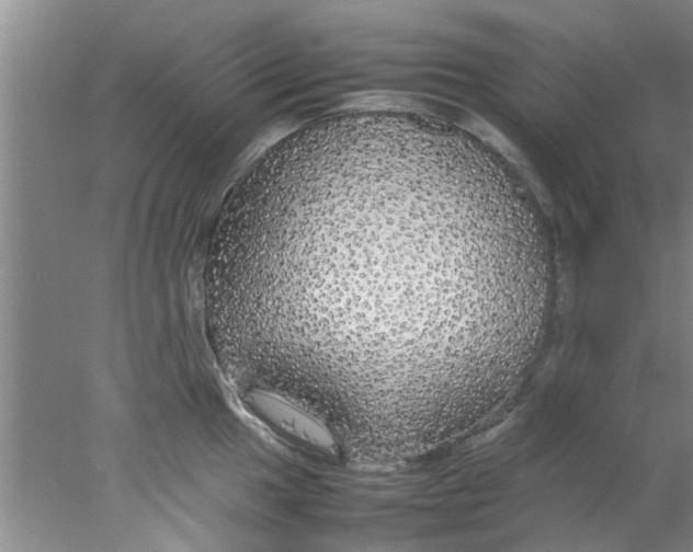 X0000078021049200611171908