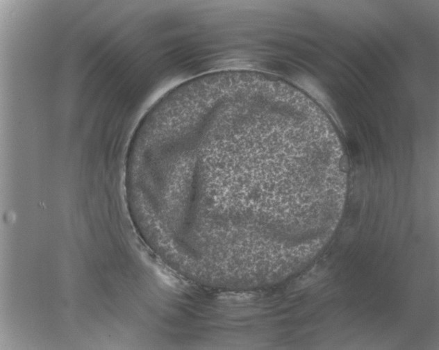 X0000078021051200611171908