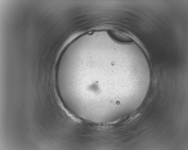 X0000078021053200611171908