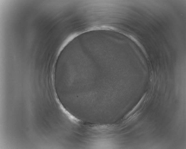 X0000078021054200611171908