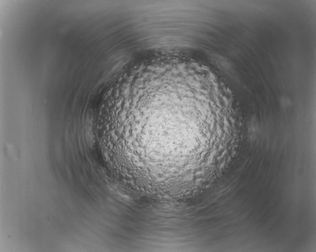 X0000078021060200611171907