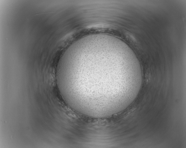 X0000078021062200611171907