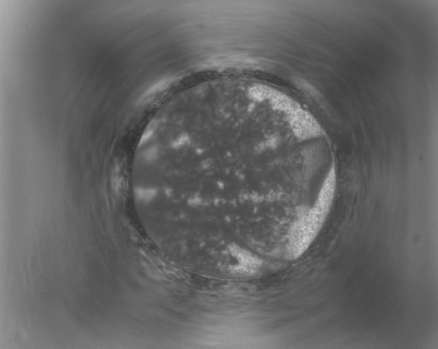 X0000078021063200611171907