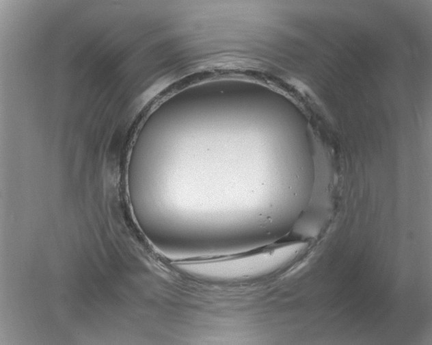 X0000078021065200611171907