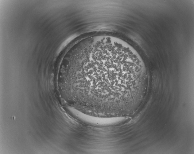 X0000078021066200611171907