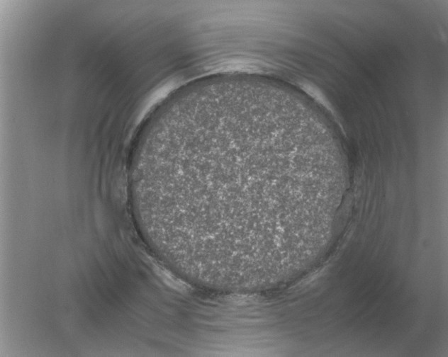 X0000078021067200611171907