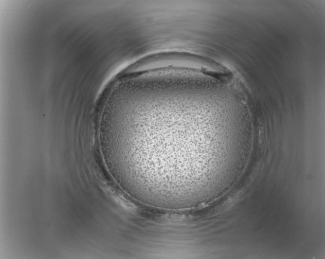 X0000078021069200611171907