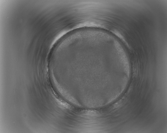 X0000078021070200611171907