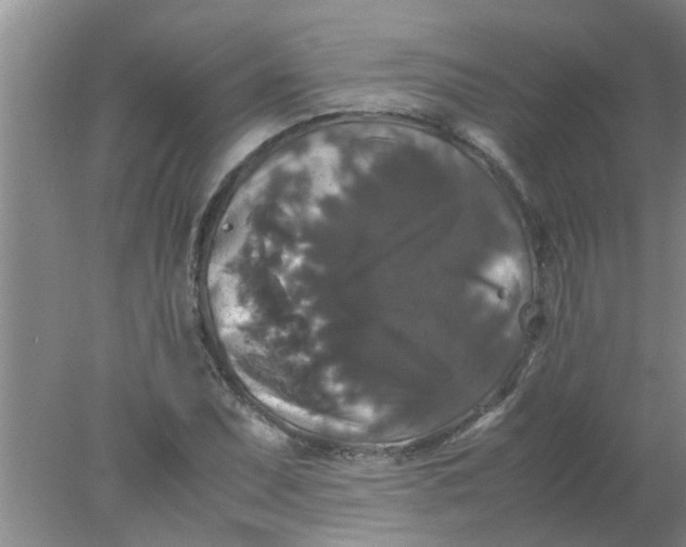 X0000078021071200611171907