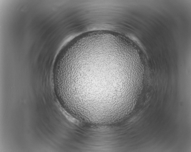 X0000078021072200611171907