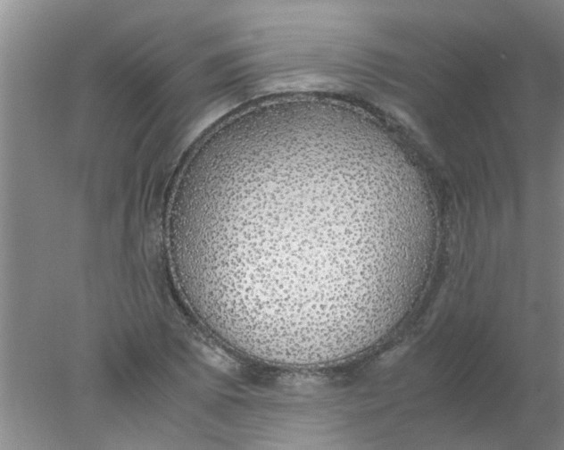 X0000078021073200611171907